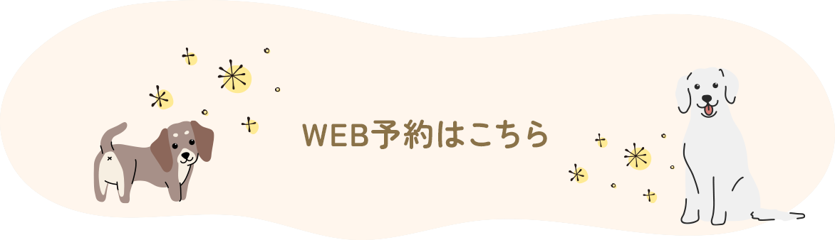 WEB予約はこちら
