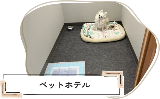 ペットホテル